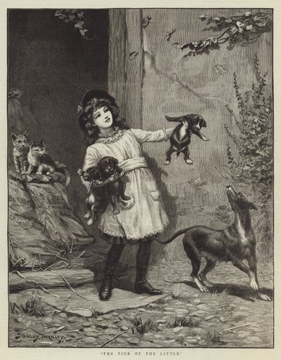 De Beste van het Nest door Stanley Berkeley
